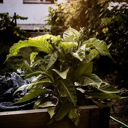 Casa De Diseno Con Gran Terraza