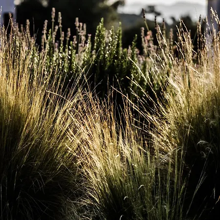 Dom wakacyjny Casa De Diseno Con Gran Terraza